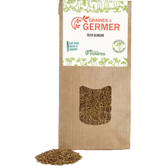 Semences Vivantes -- Graines d'alfa blanche à germer bio - 150 g